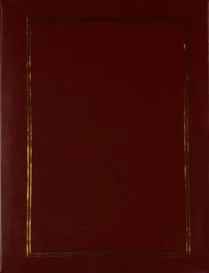 Fotoalbum DRS-10 Vinyl 1 vínové PL