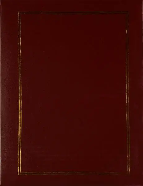 Fotoalbum DRS-10 Vinyl 1 vínové PL