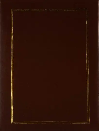 Fotoalbum DRS-10 Vinyl 2 hnědé PL