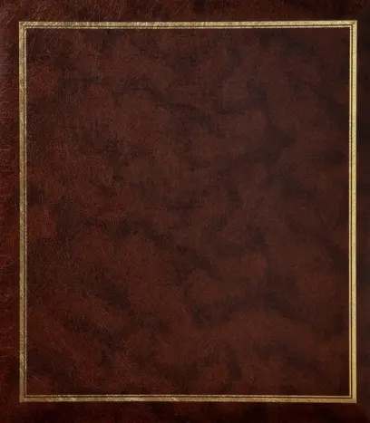 Fotoalbum B-46500S Vinyl 2 hnědé PL