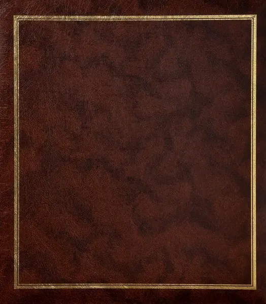 Fotoalbum B-46500S Vinyl 2 hnědé PL