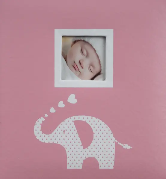 Fotoalbum KD-46200B Fibi 2 růžové