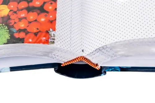 Fotoalbum B-46200S Flower10 4 PL