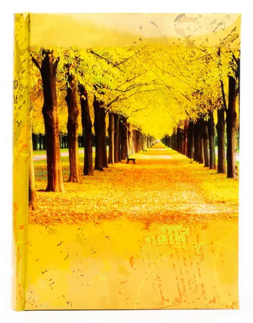 Fotoalbum B-35200S Main 2 žluté