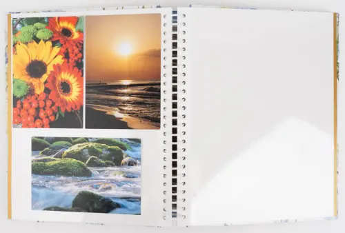 Fotoalbum DRS-30 Abloom 1