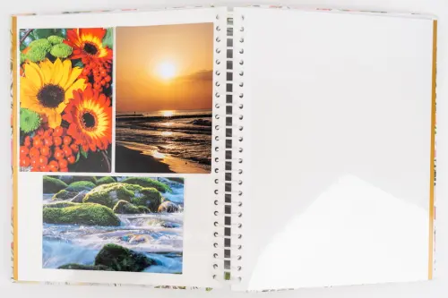 Fotoalbum DRS-30 Abloom 2