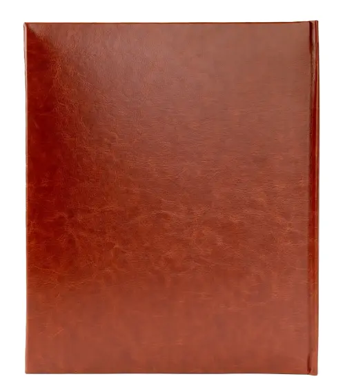 Fotoalbum DBCS-20 Wood bronze PL