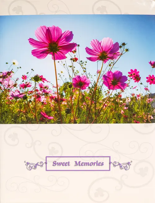 Fotoalbum DRS-10 Beauty 2