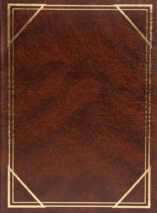 Fotoalbum B-35300/2S Vinyl 2 hnědé