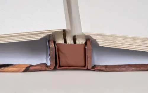 Fotoalbum DBLP-30 Firry 1