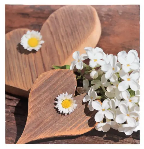 Fotoalbum DBLP-30 Firry 2