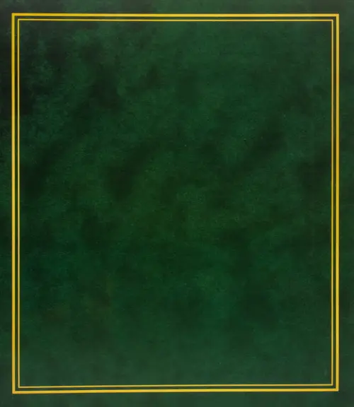 Fotoalbum B-46500S Vinyl 4 zelené PL