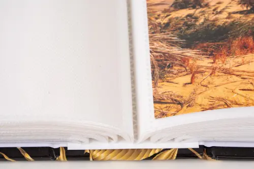 Fotoalbum MM-46304/2 Monstera 1 zlaté PL