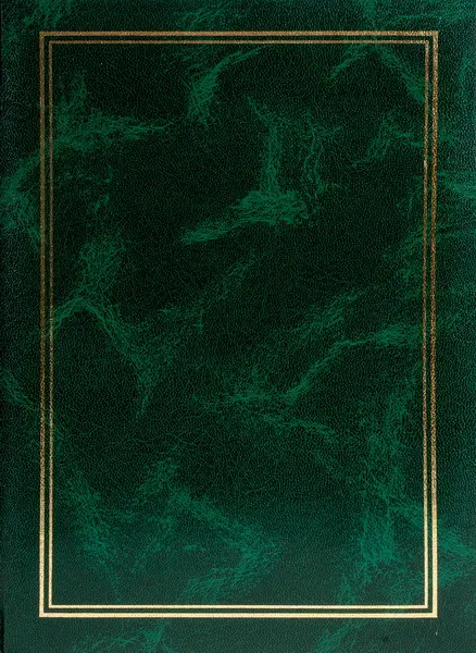 Fotoalbum B-46300/2S Vinyl 4 zelené PL