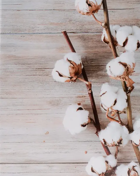 Fotoalbum MM-46304/2 Flower 1 bavlník PL