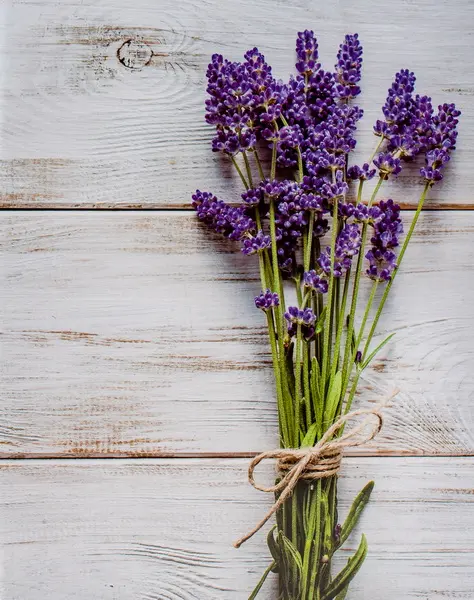 Fotoalbum MM-46304/2 Flower 4 levandule PL