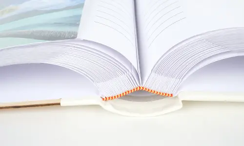 Fotoalbum KD-46200 Wood white PL