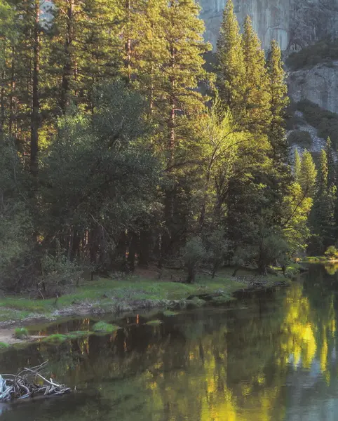 Fotoalbum P2-4664 mix PL