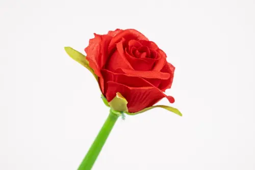 Pero gelové Silky 36 Rose