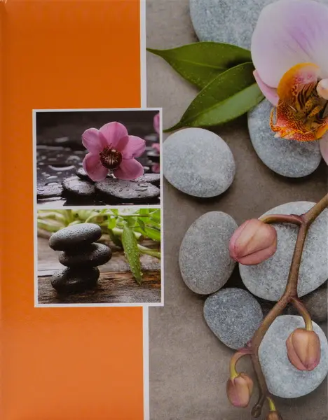 Fotoalbum MM-35100 Orchid 1
