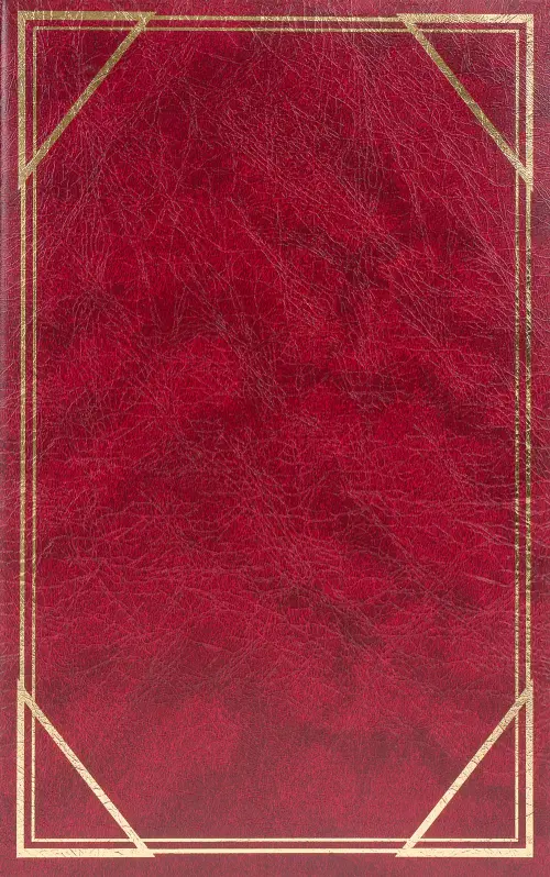 Fotoalbum B-46300S Vinyl 1 vínové