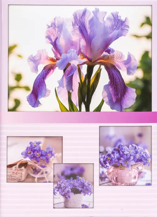 Fotoalbum B-46100/2S Dusk 2