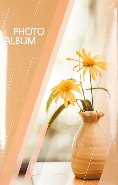 Fotoalbum B-46300S Ray 1