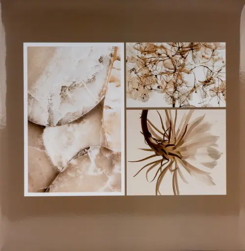 Fotoalbum PP-46500 Origami 1