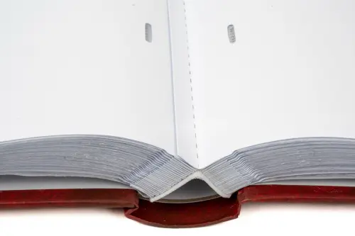 Fotoalbum B-46500S Vinyl 1 vínové PL